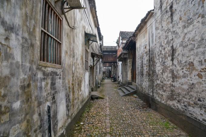 全市首例涉危害国家重点保护植物“金毛狗蕨”案宣判！
